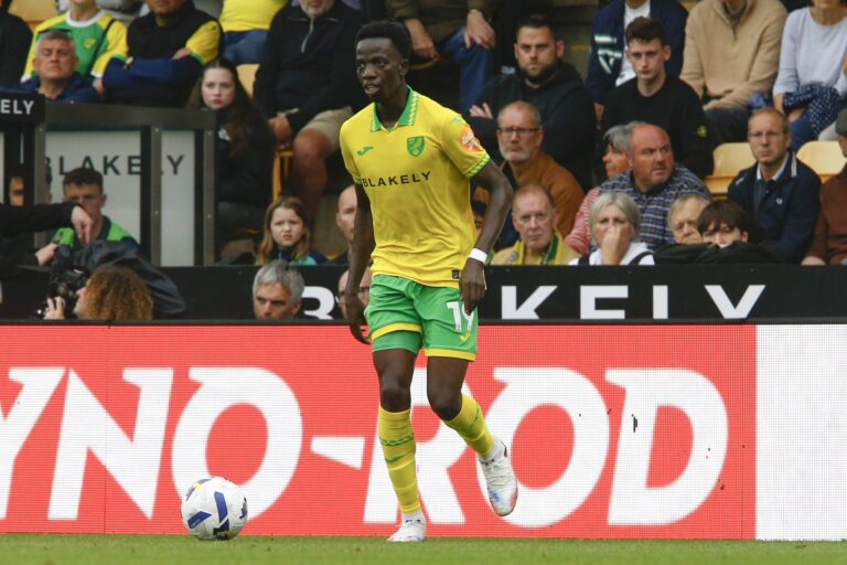 Coup dur pour Pape Amadou Diallo : plusieurs mois d’absence à Norwich